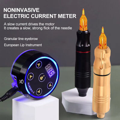 Rotary Tattoo Machine Set with Aurora II Power Supply Popular Tattoo Pen Kit Including Tattoo Guns supplier